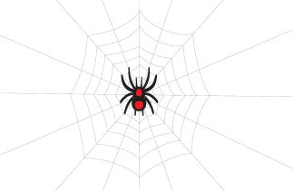 Spider Net-logo
